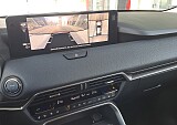 20250124_134530.jpg
