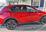 20250124_140630.jpg