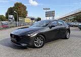 IMG_7273.JPG
