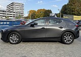 IMG_7282.JPG