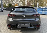 IMG_7279.JPG
