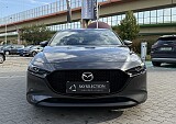 IMG_7294.JPG
