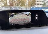 IMG_7319.JPG