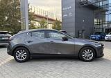 IMG_7289.JPG