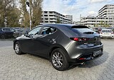 IMG_7285.JPG