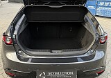 IMG_7324.JPG