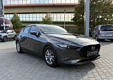 IMG_7293.JPG