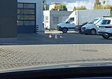 nr_015.jpg