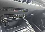 20_2c0aa4be-19a4-4c54-9ee6-6d219dd076b6_final_image (Large).jpg