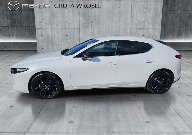 8_ec0b8570-d56e-4139-93bd-c869cbbd4fdd_final_image (Large).jpg