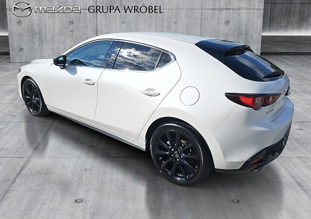 7_7b2d5331-894a-4675-80da-cb20ab76ebdc_final_image (Large).jpg