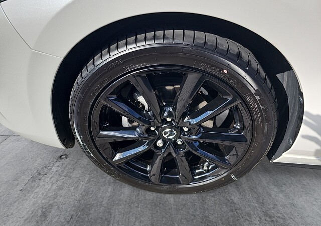 9_802de1b2-9326-485b-a77f-4dfcad92ccdc_final_image (Large).jpg