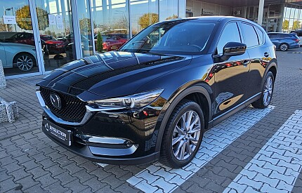 20251020_154137.jpg