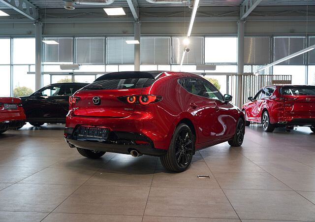 1-6 (1) zmniejszone.jpg