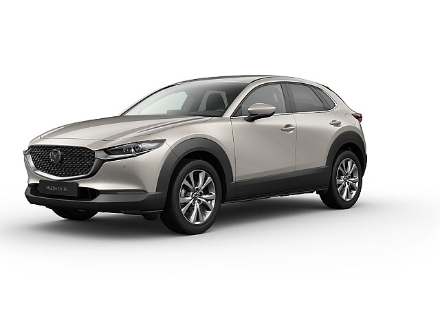 MAZDA CX-30 Exclusive-line_Platinum Quartz_607.jpg
