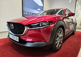 20251007_165535.jpg
