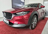 20250902_124117.jpg