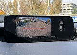 IMG_7228.JPG