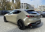 IMG_7207.JPG