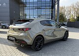 IMG_7211.JPG
