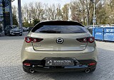 IMG_7199.JPG