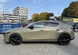IMG_7203.JPG