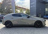 IMG_7214.JPG