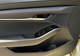 IMG_7223.JPG