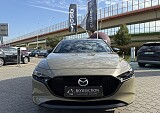 IMG_7218.JPG