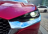 20251009_121735.jpg