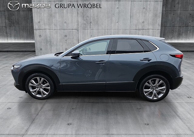 8_e31e443c-d033-41d1-8159-44414a9f8f2b_final_image (Large).jpg