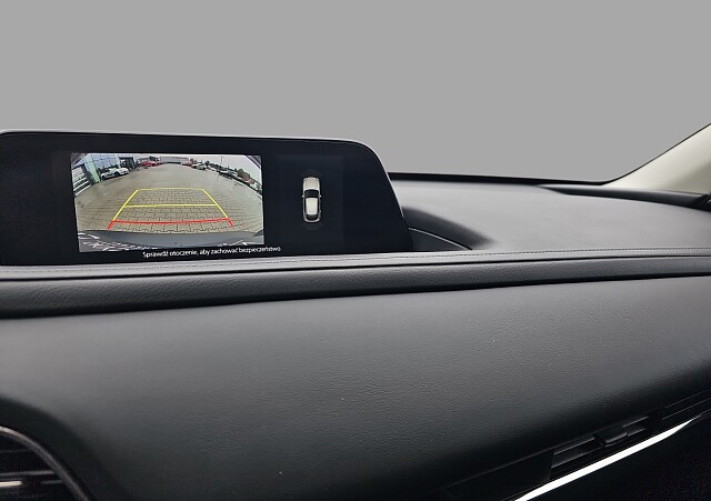 16_b8a48000-31e6-4a87-91ca-d3e3fa3135d8_final_image (Large).jpg