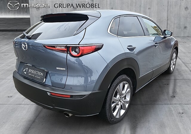 5_eec414f1-a5c4-43d0-b901-b3fab73b119d_final_image (Large).jpg