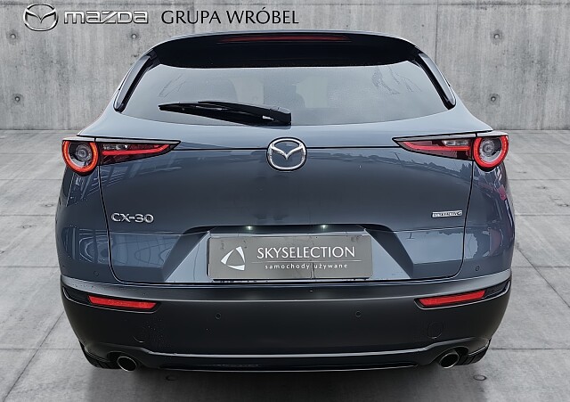 6_19cac460-774f-446f-8abd-125fddd6c6bf_final_image (Large).jpg