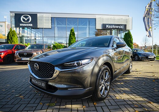 Mazda CX-30 - Kolor Machine Gray
