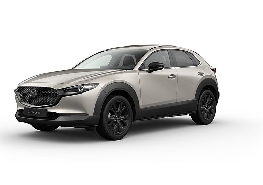 Mazda CX-30 - Kolor Platinum Quartz