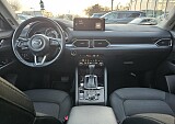 20250212_161804.jpg
