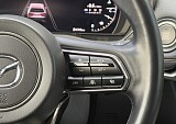 IMG_8699.JPG