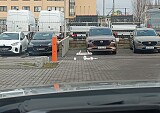 153837_12197_ddcbbdb5-4da5-4780-88c2-1b36b93d76a3.JPEG