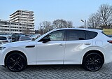 IMG_1562.JPG