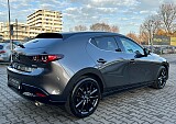 IMG_0501.JPG