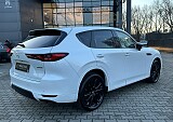 IMG_1569.JPG