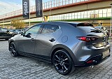 IMG_0497.JPG