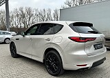 IMG_0669 — kopia.JPG