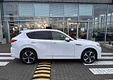 IMG_3208.JPEG