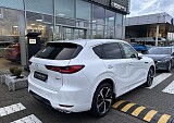 IMG_3209.JPEG