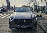 20250122_114531.jpg