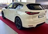 IMG_E5801.JPG