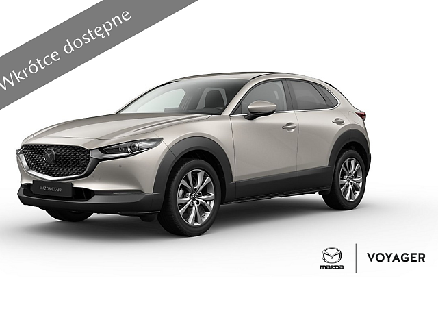 CX-30 Exclusive line Platinium Quartz.png