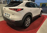 IMG_20241217_153930.jpg